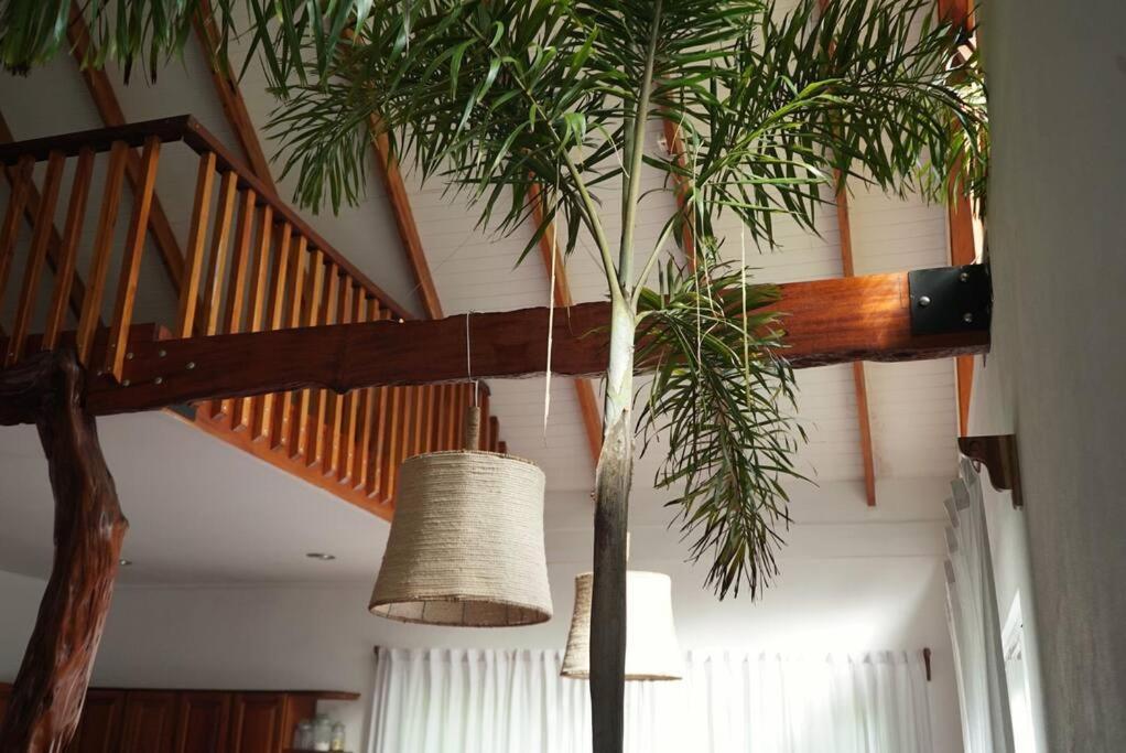 Casa Moes Villa Cahuita Exteriör bild