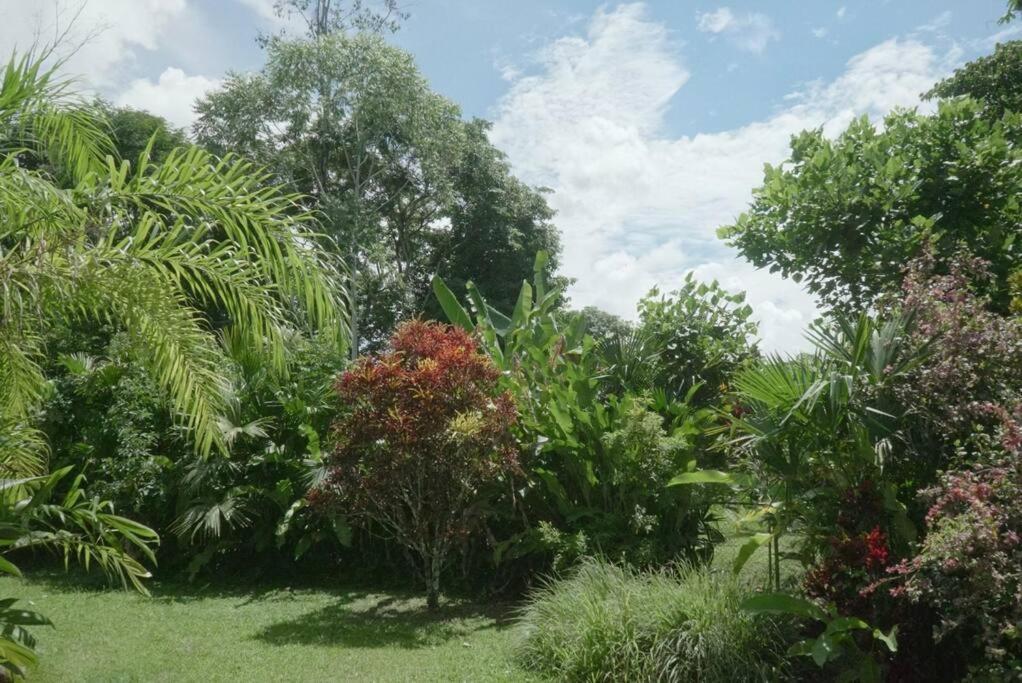 Casa Moes Villa Cahuita Exteriör bild